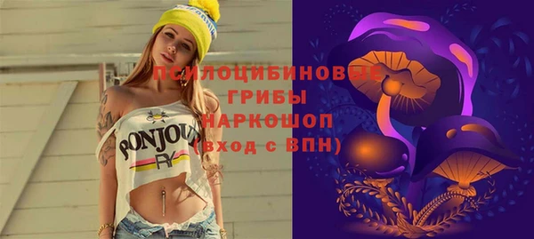 амф Аркадак