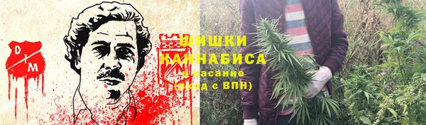 соль ск Армянск