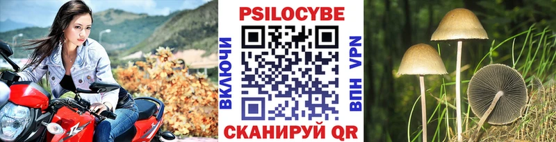 цены   Лысьва  Псилоцибиновые грибы прущие грибы 